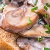 Creamy Garlic Mushrooms Starter