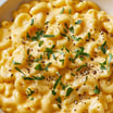 Kids Macaroni